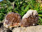 Natural Ametrine Spirit Quartz Clusters x 2 From South Africa - Toprock Gemstones and Minerals 