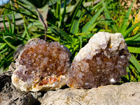 Natural Ametrine Spirit Quartz Clusters x 2 From South Africa