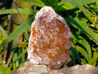 Natural Ametrine Spirit Quartz Clusters x 2 From South Africa
