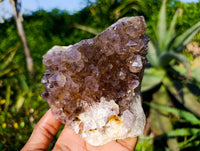 Natural Ametrine Spirit Quartz Clusters x 2 From South Africa