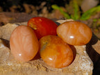 Polished Orange Twist Calcite Palm Stones x 28 From Madagascar - Toprock Gemstones and Minerals 