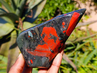 Polished Bloodstone Points x 4 From Swaziland