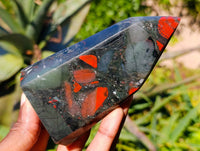 Polished Bloodstone Points x 4 From Swaziland