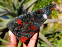 Polished Bloodstone Points x 4 From Swaziland