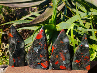 Polished Bloodstone Points x 4 From Swaziland