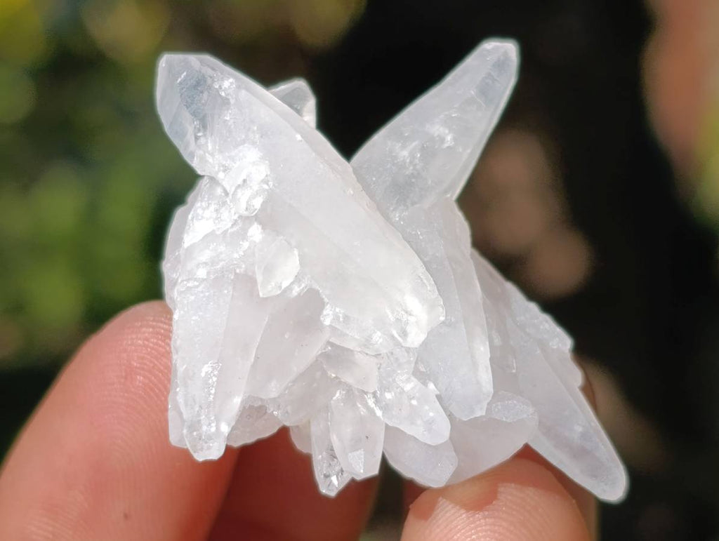 Natural Window Quartz Crystals x 70 From Brandberg, Namibia - Toprock Gemstones and Minerals 