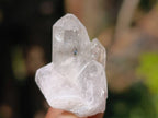 Natural Window Quartz Crystals x 70 From Brandberg, Namibia - Toprock Gemstones and Minerals 