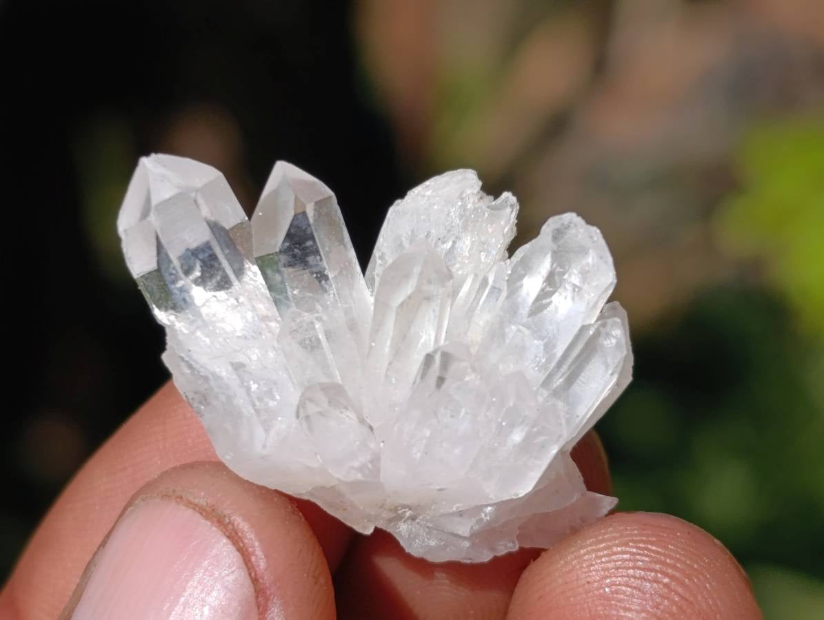 Natural Window Quartz Crystals x 70 From Brandberg, Namibia - Toprock Gemstones and Minerals 