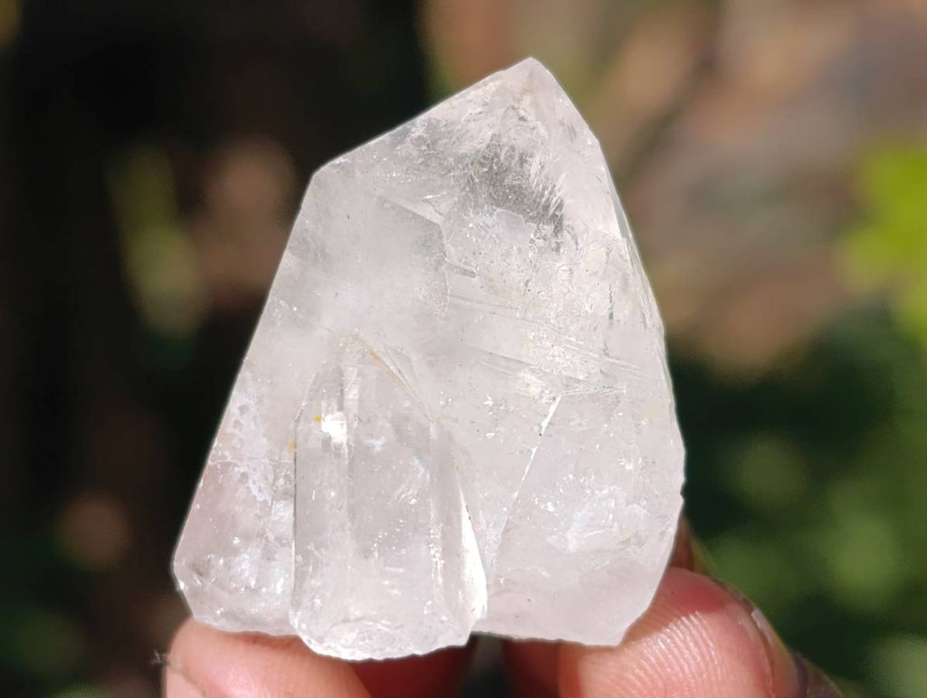 Natural Window Quartz Crystals x 70 From Brandberg, Namibia - Toprock Gemstones and Minerals 