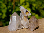 Natural Window Quartz Crystals x 70 From Brandberg, Namibia - Toprock Gemstones and Minerals 