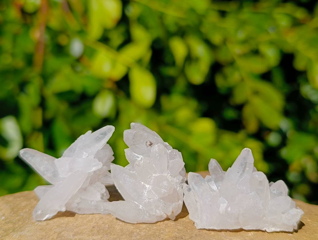 Natural Window Quartz Crystals x 70 From Brandberg, Namibia - Toprock Gemstones and Minerals 