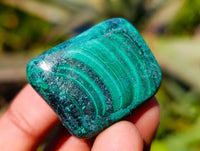 Polished Flower Banded Malachite Free Forms x 35 From Congo - Toprock Gemstones and Minerals 