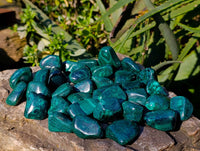 Polished Flower Banded Malachite Free Forms x 35 From Congo - Toprock Gemstones and Minerals 