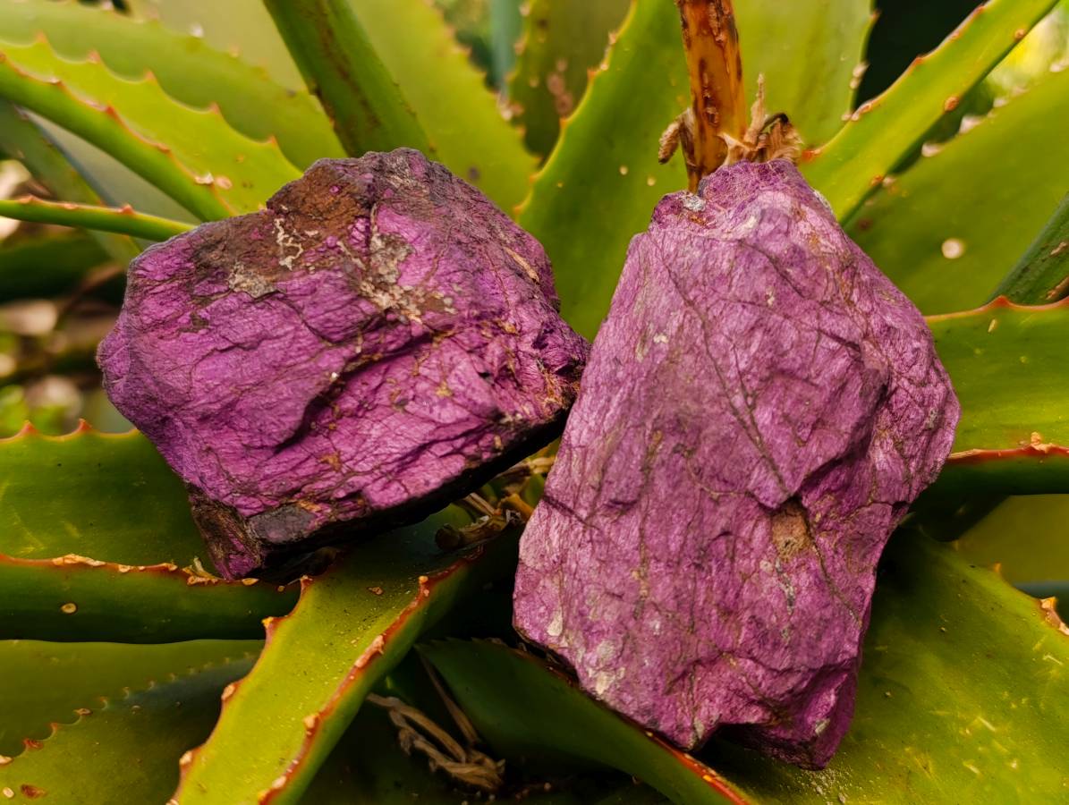Natural Metallic Purpurite Specimens x 6 From Erongo, Namibia - Toprock Gemstones and Minerals 