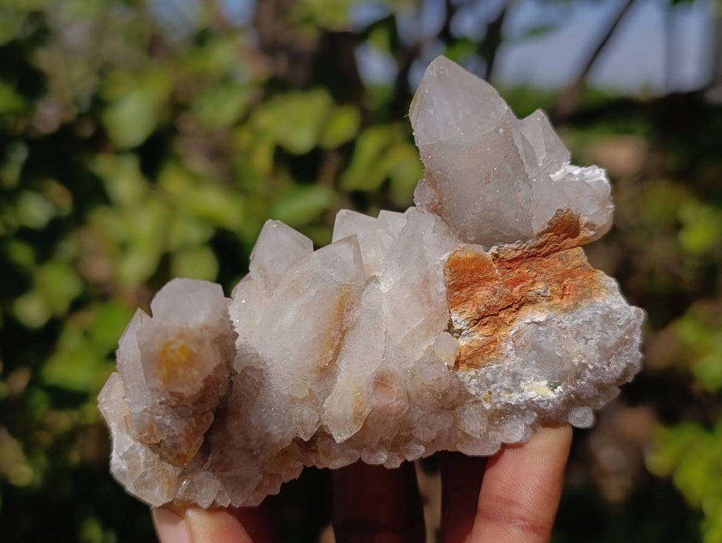 Natural Fairy Spirit Quartz Clusters x 3 From South Africa - Toprock Gemstones and Minerals 