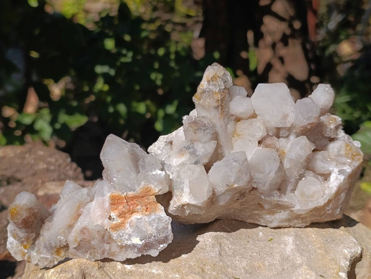 Natural Fairy Spirit Quartz Clusters x 3 From South Africa - Toprock Gemstones and Minerals 