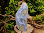 Polished Blue Lace Agate Standing Free Form x 1 From Malawi - Toprock Gemstones and Minerals 