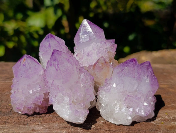 Natural Amethyst Spirit Quartz Clusters x 20 From South Africa