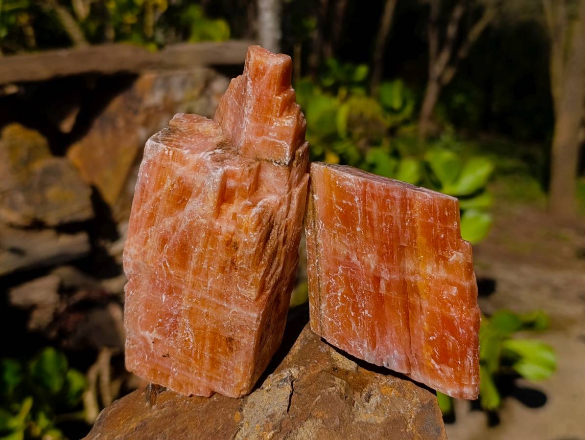 Natural Sunset Orange Calcite Specimens x 6 From Spitzkop, Namibia - Toprock Gemstones and Minerals 