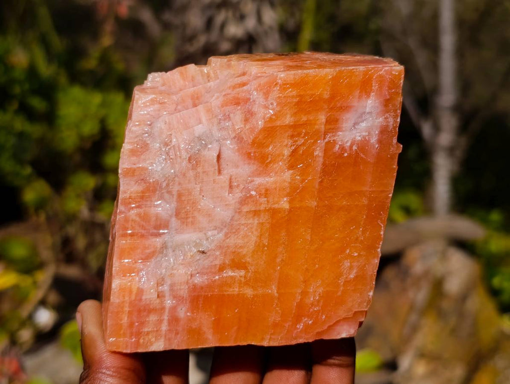 Natural Sunset Orange Calcite Specimens x 6 From Spitzkop, Namibia - Toprock Gemstones and Minerals 