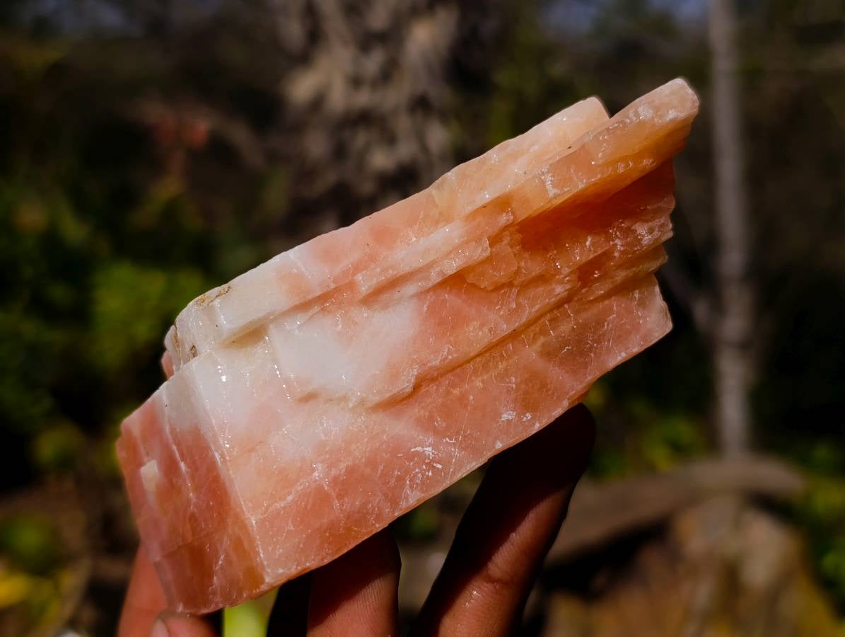 Natural Sunset Orange Calcite Specimens x 6 From Spitzkop, Namibia - Toprock Gemstones and Minerals 