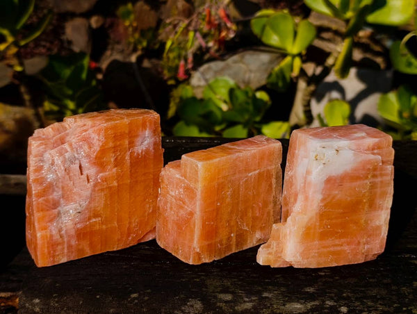 Natural Sunset Orange Calcite Specimens x 6 From Spitzkop, Namibia