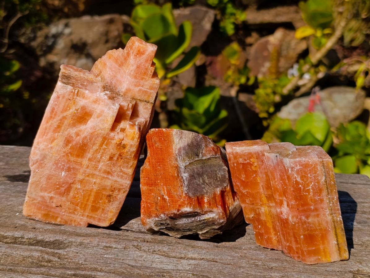 Natural Sunset Orange Calcite Specimens x 6 From Spitzkop, Namibia - Toprock Gemstones and Minerals 