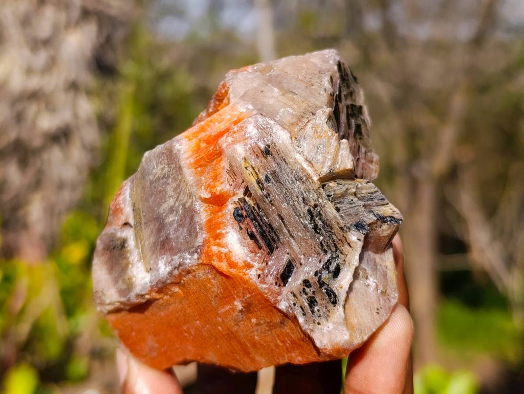 Natural Sunset Orange Calcite Specimens x 6 From Spitzkop, Namibia - Toprock Gemstones and Minerals 