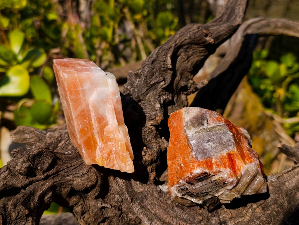 Natural Sunset Orange Calcite Specimens x 6 From Spitzkop, Namibia - Toprock Gemstones and Minerals 
