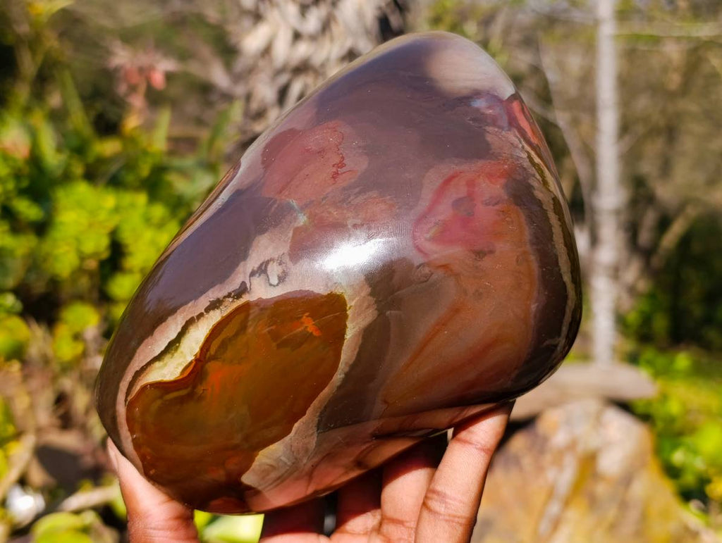 Polished On One Side Polychrome Jasper Standing Free Form x 1 From Madagascar - Toprock Gemstones and Minerals 