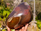 Polished On One Side Polychrome Jasper Standing Free Form x 1 From Madagascar - Toprock Gemstones and Minerals 