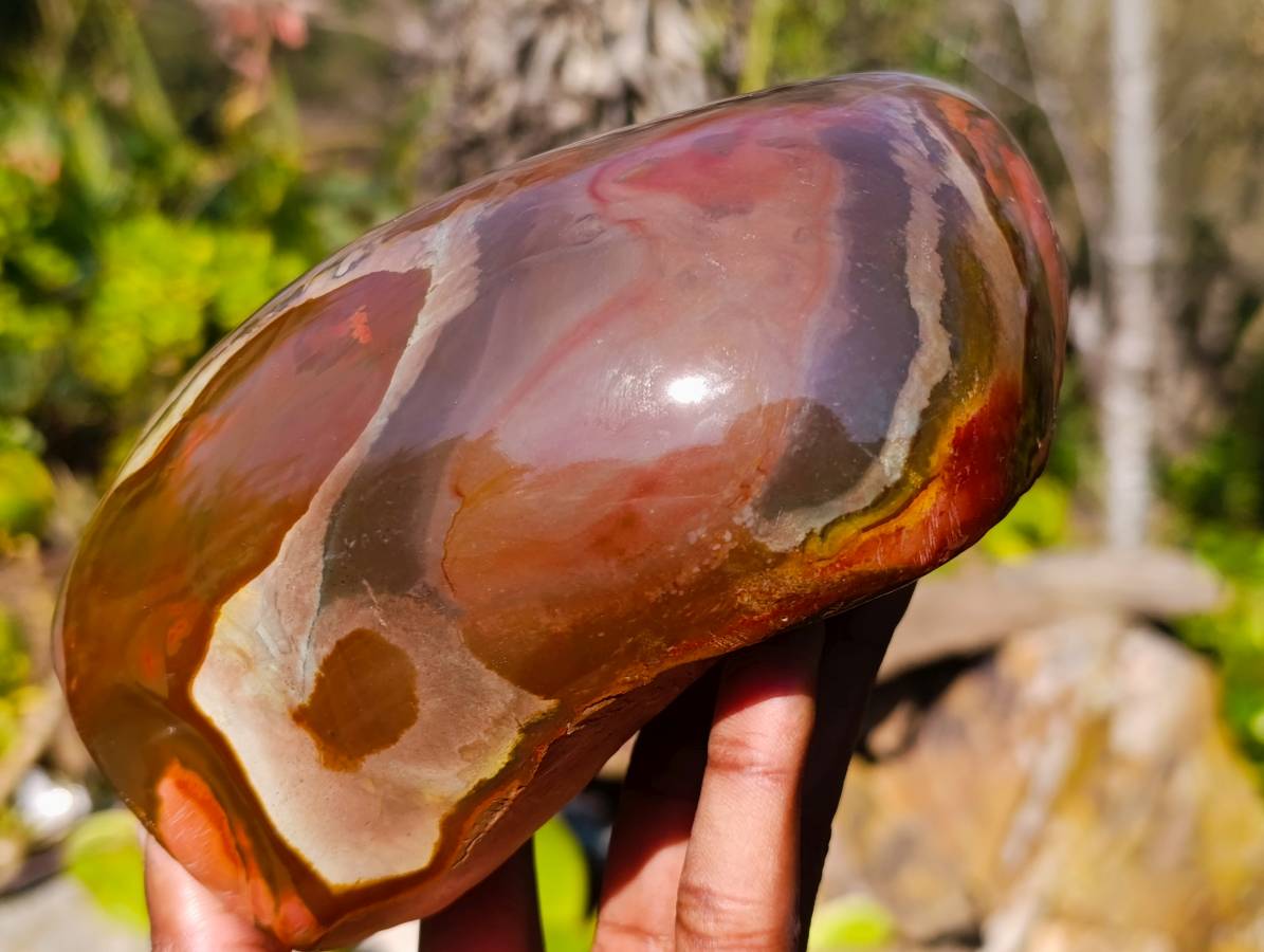 Polished On One Side Polychrome Jasper Standing Free Form x 1 From Madagascar - Toprock Gemstones and Minerals 