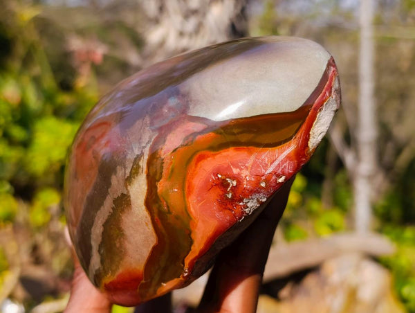 Polished On One Side Polychrome Jasper Standing Free Form x 1 From Madagascar