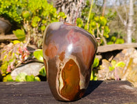 Polished On One Side Polychrome Jasper Standing Free Form x 1 From Madagascar