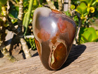 Polished On One Side Polychrome Jasper Standing Free Form x 1 From Madagascar