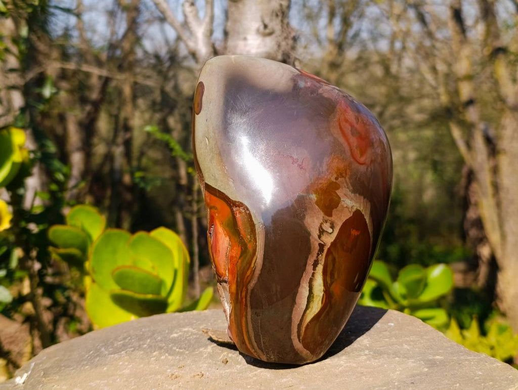 Polished On One Side Polychrome Jasper Standing Free Form x 1 From Madagascar - Toprock Gemstones and Minerals 