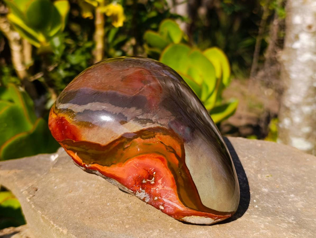 Polished On One Side Polychrome Jasper Standing Free Form x 1 From Madagascar - Toprock Gemstones and Minerals 
