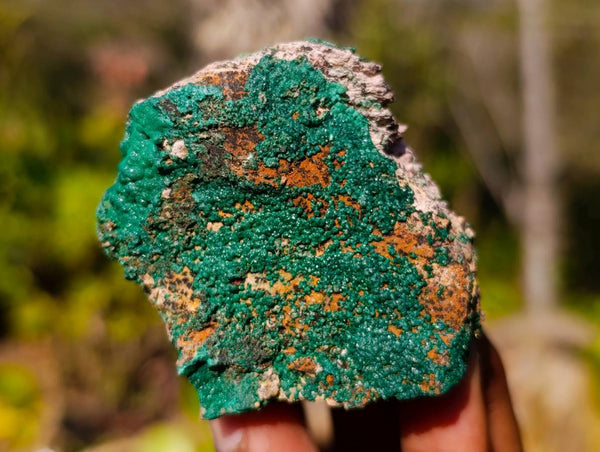 Natural Crystalline Malachite Specimens x 6 From Congo