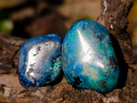 Polished Shattuckite Free Forms x 70 From Congo