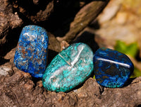 Polished Shattuckite Free Forms x 70 From Congo