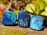 Polished Shattuckite Free Forms x 70 From Congo