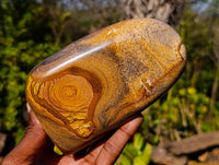 Polished Picture Stone Jasper Standing Free Forms x 2 From Ais-Ais, Namibia