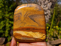 Polished Picture Stone Jasper Standing Free Forms x 2 From Ais-Ais, Namibia