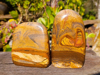 Polished Picture Stone Jasper Standing Free Forms x 2 From Ais-Ais, Namibia