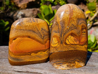 Polished Picture Stone Jasper Standing Free Forms x 2 From Ais-Ais, Namibia