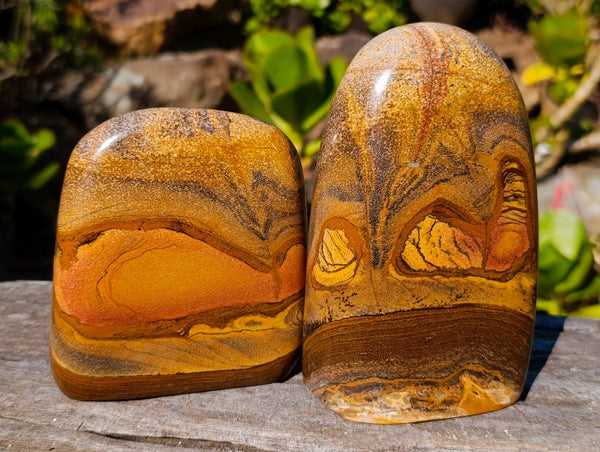 Polished Picture Stone Jasper Standing Free Forms x 2 From Ais-Ais, Namibia