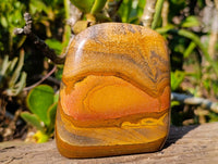 Polished Picture Stone Jasper Standing Free Forms x 2 From Ais-Ais, Namibia