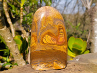 Polished Picture Stone Jasper Standing Free Forms x 2 From Ais-Ais, Namibia