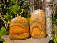 Polished Picture Stone Jasper Standing Free Forms x 2 From Ais-Ais, Namibia