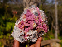 Natural Drusy Salrose on Dolomite Matrix Specimens x 2 From Kakanda, Congo